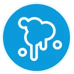 Works on Stains Years Old